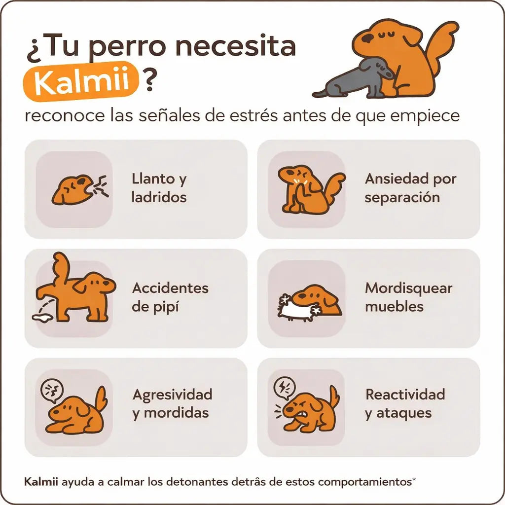 Kit difusor calmante para perros