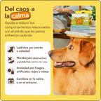 Kit difusor calmante para perros