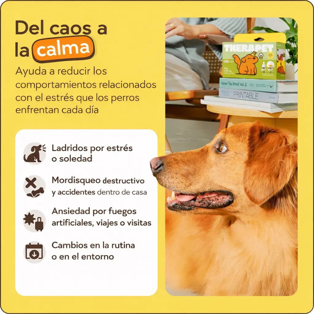Kit difusor calmante para perros